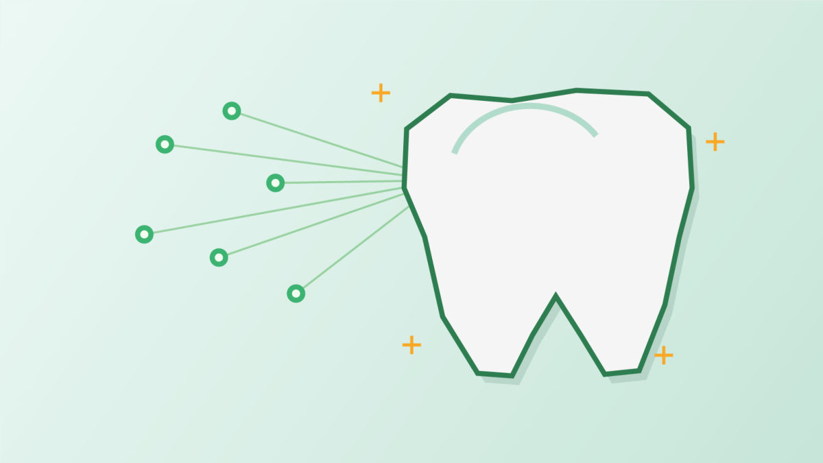 Faire repousser ses dents : où en est vraiment la recherche ?